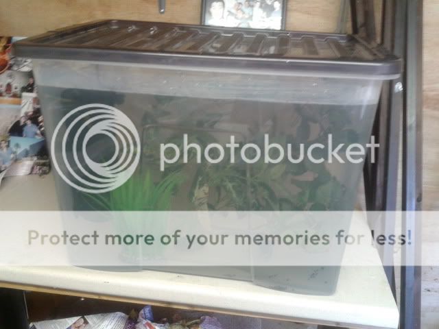 2011-08-13123835.jpg