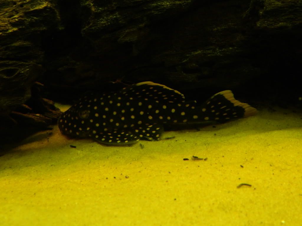 DSCN0399.jpg