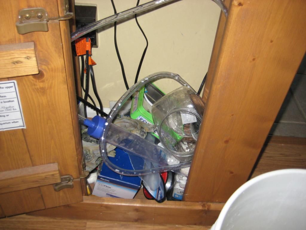 IMG_2507_zpse2e157da.jpg