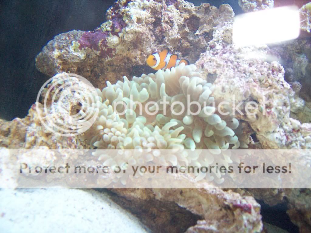 aquarium004.jpg