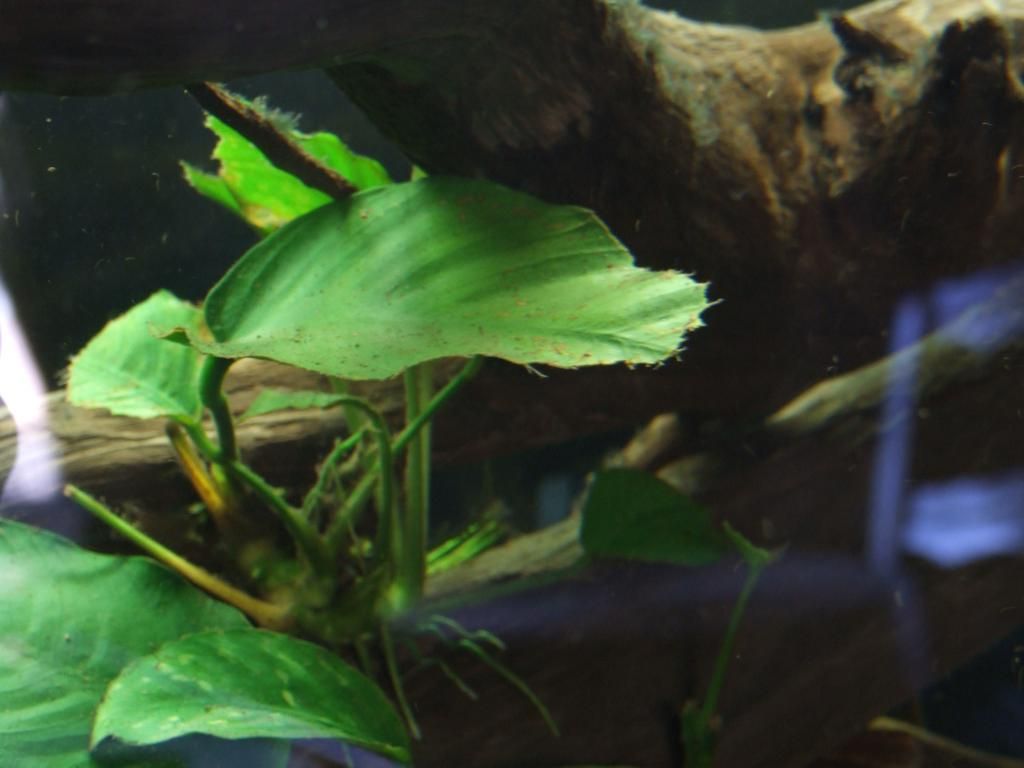 DSCF6581-1.jpg