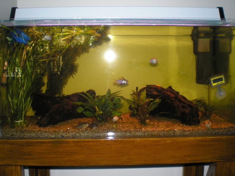 CoryTank2.jpg