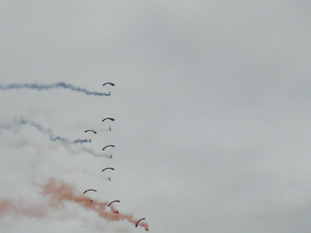 waddington095.jpg