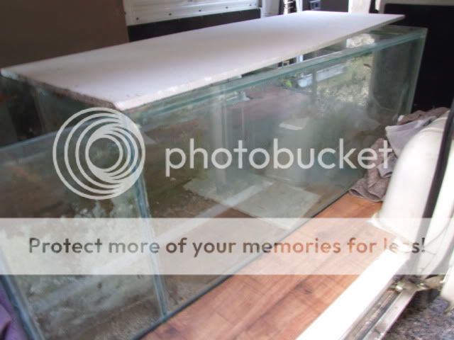 2009_1003Reef0006.jpg