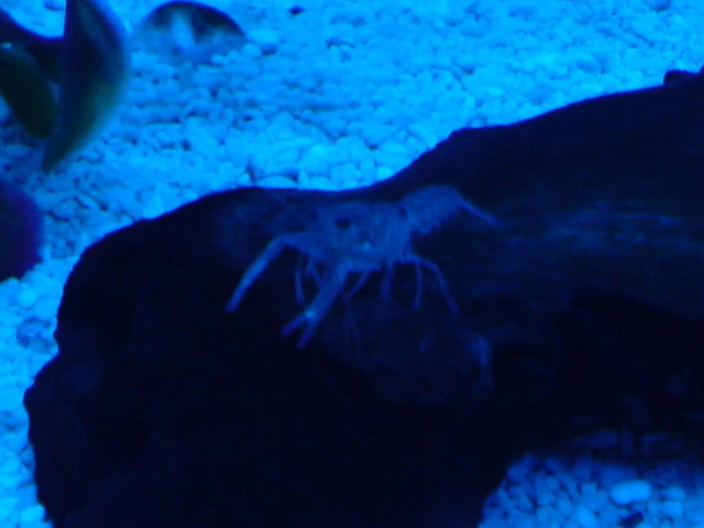 DSC00023.jpg