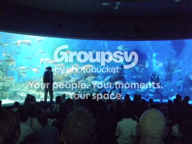 P3100113.jpg