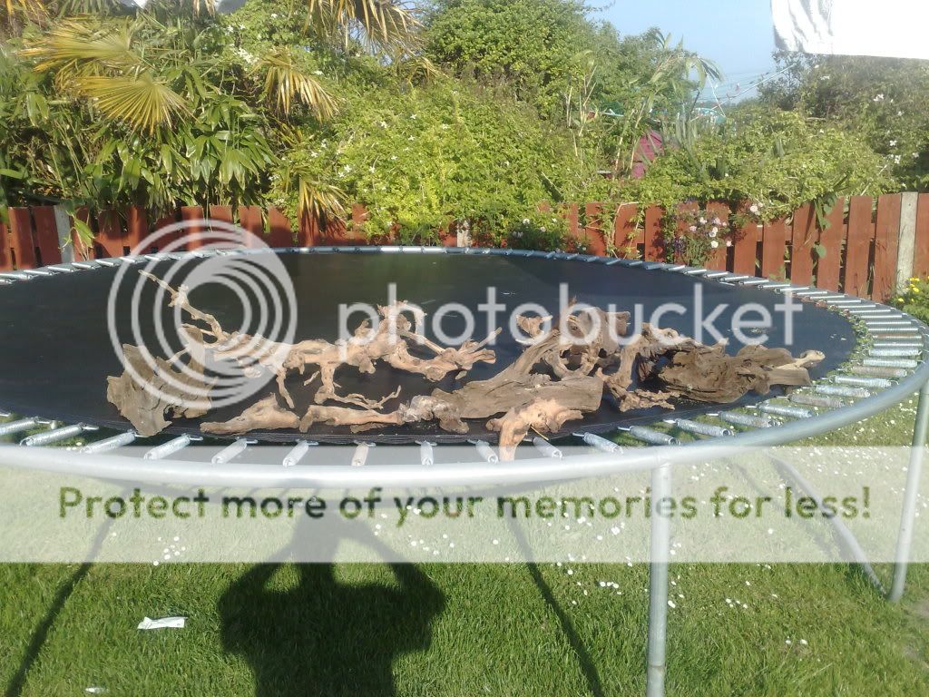 23052009023.jpg