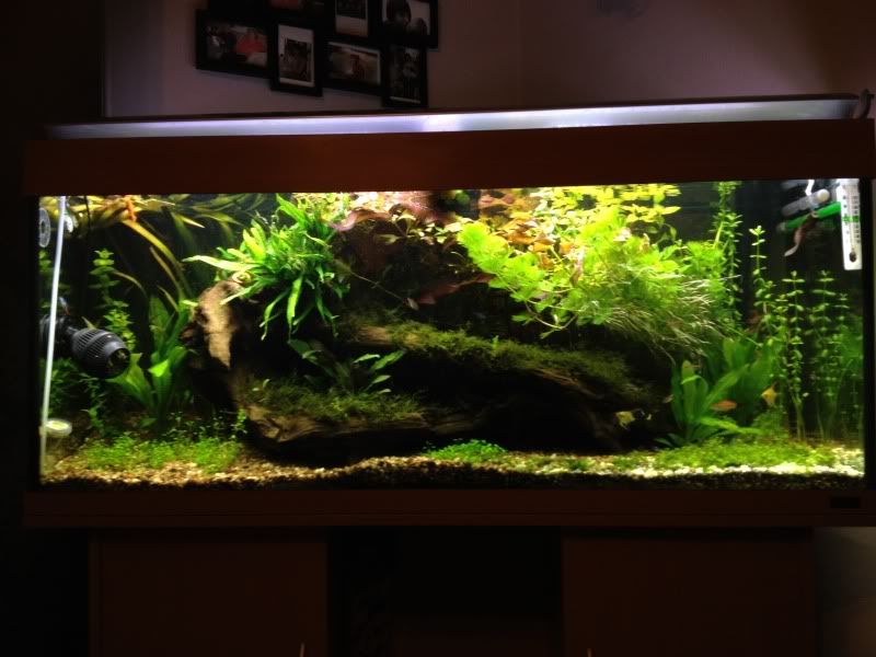 tank017.jpg