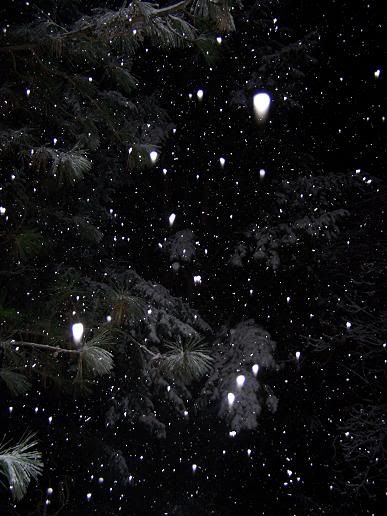 snow3.jpg