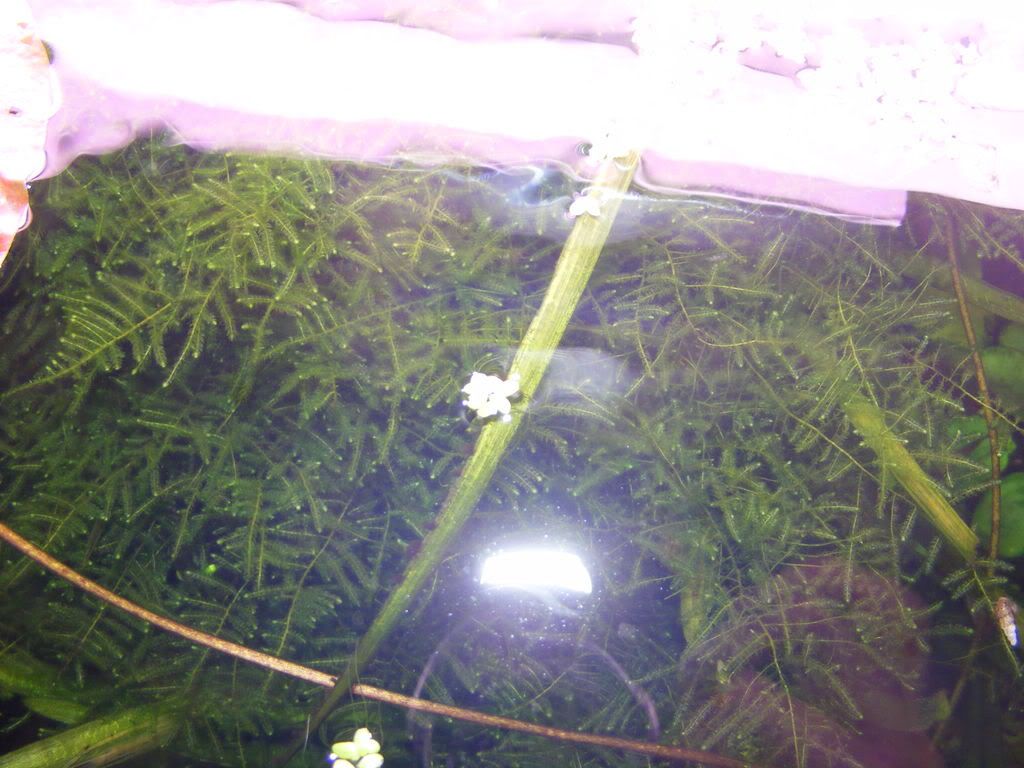 DSCF1523.jpg