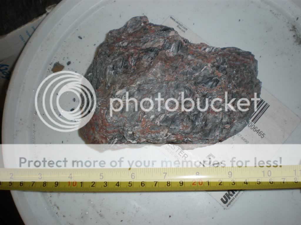 Pa170999.jpg