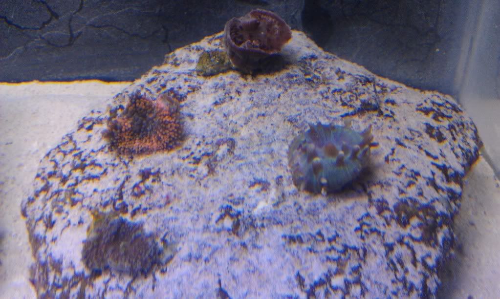 IMAG0552.jpg