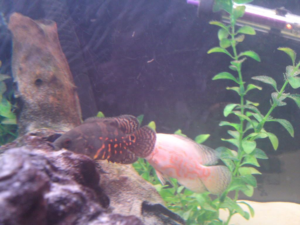 03022011073.jpg