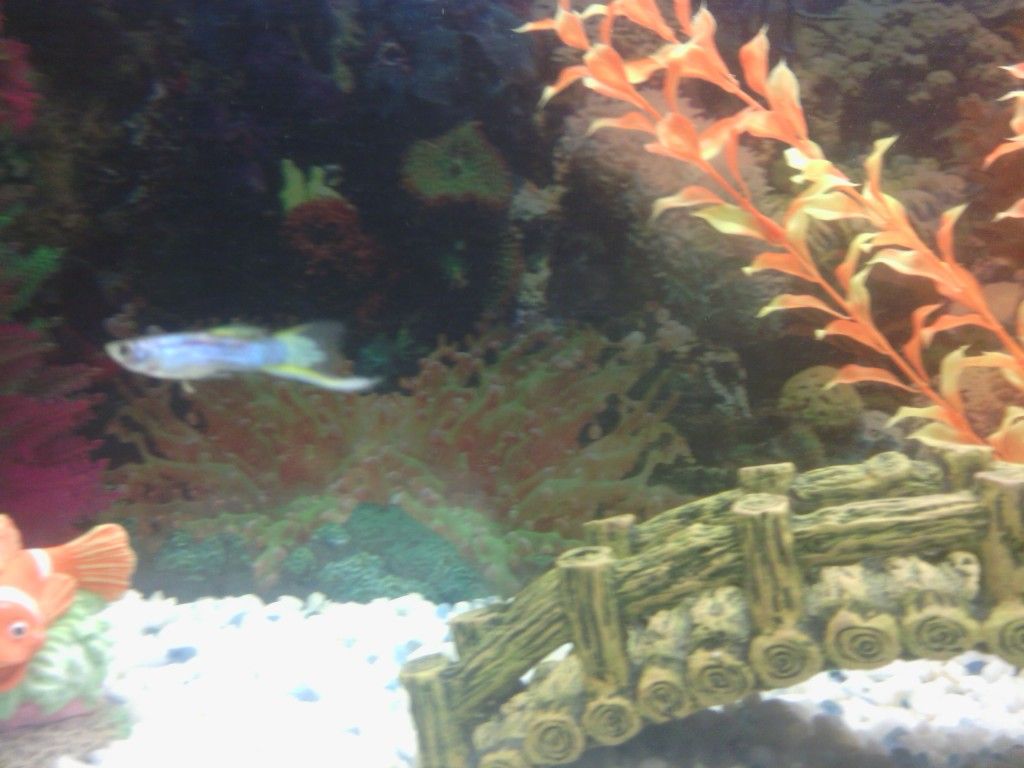 IMG_20120721_205739.jpg
