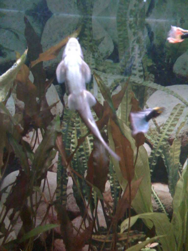 28-01-09_1356.jpg