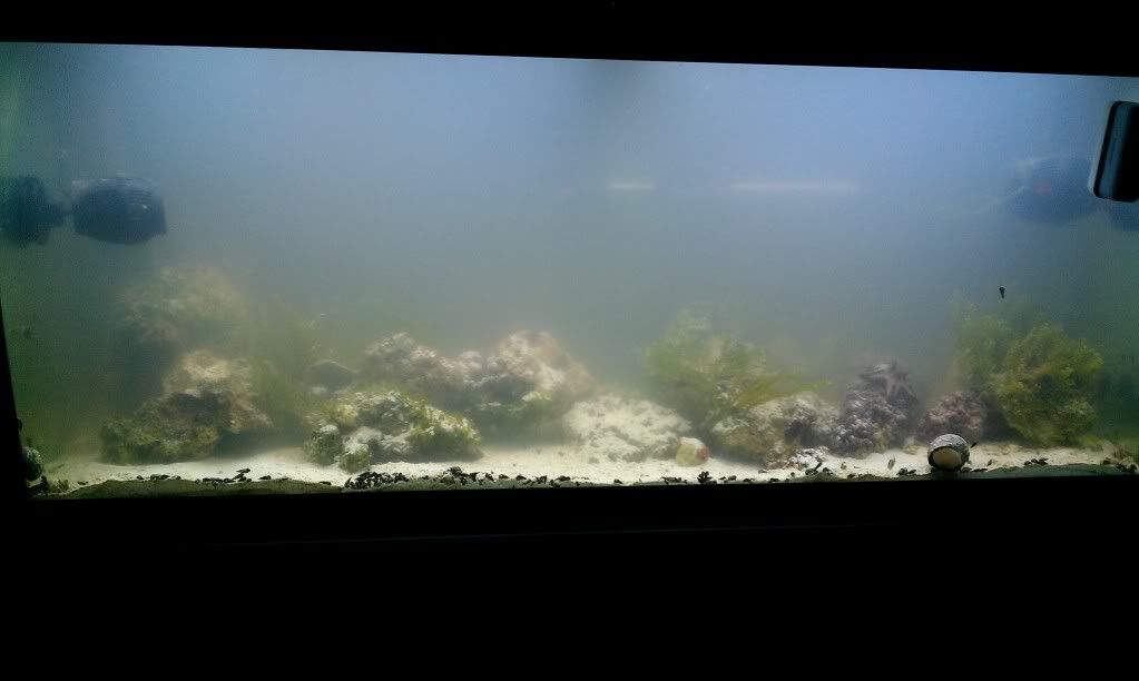 IMAG0100.jpg