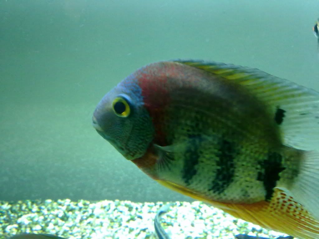 14072010041.jpg