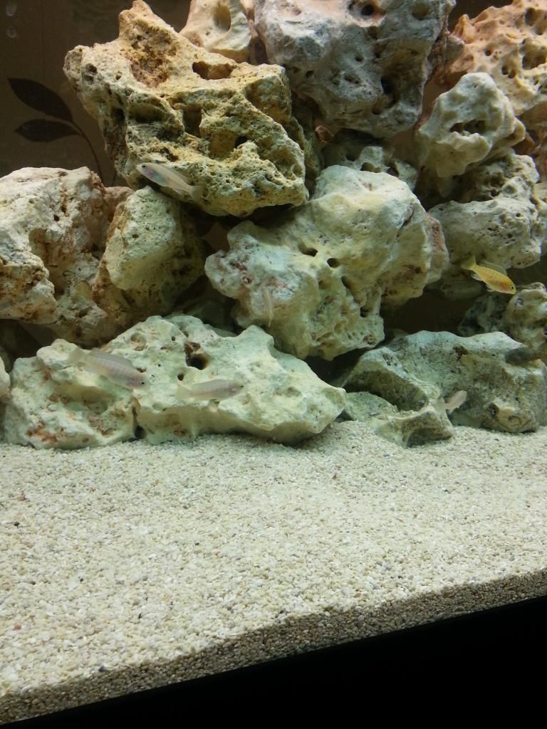 20130304_205334.jpg