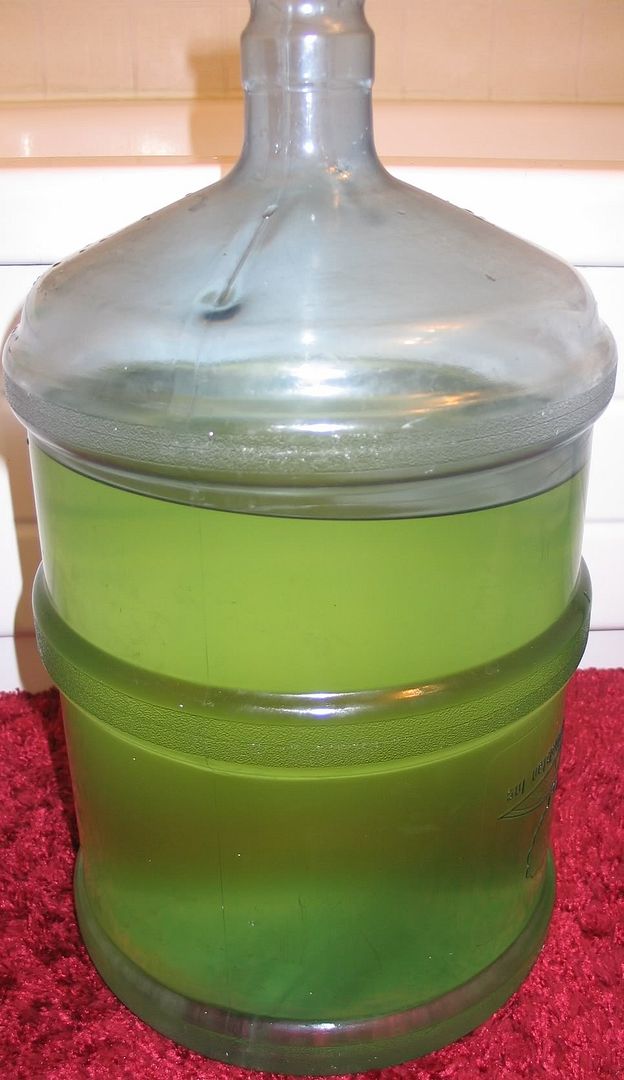 greenwater.jpg
