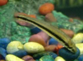 2005_0130_204759.jpg