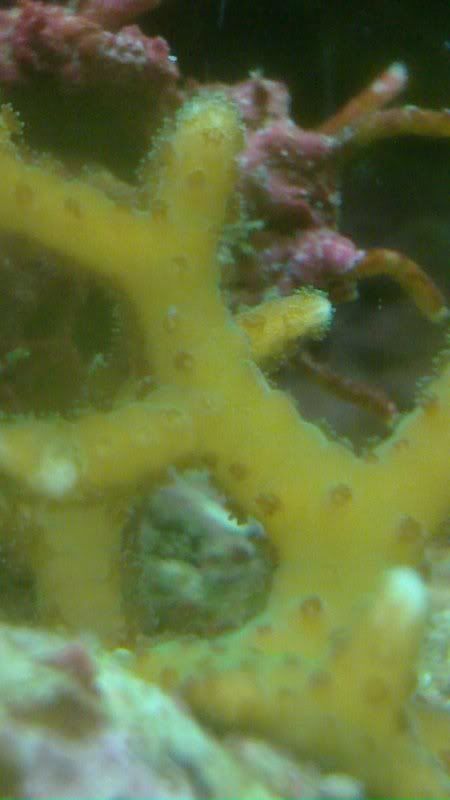 20101206_007-1.jpg