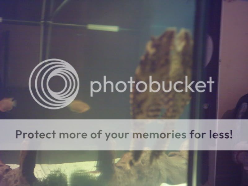digicam133.jpg