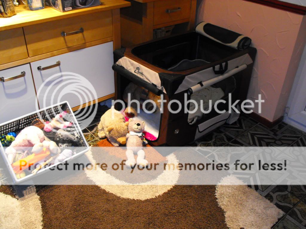DSCF3177.jpg