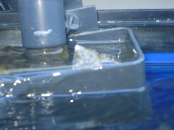 SDC10293.jpg