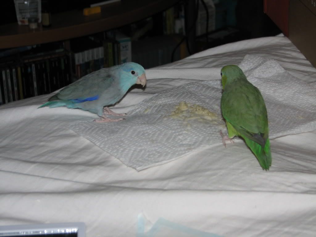 IMG_0090.jpg