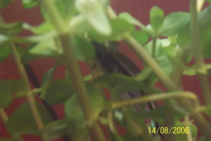 000_2756.jpg