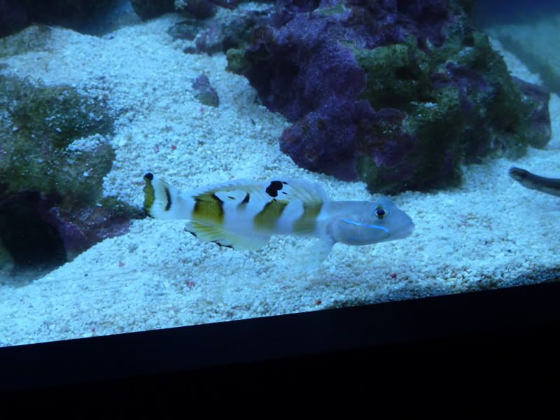P1010036.jpg