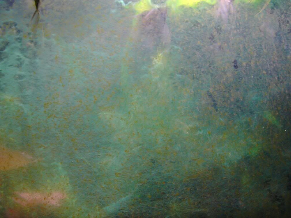 IMAG0017-2.jpg