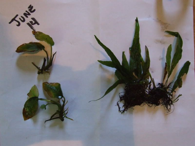 DSCF5751.jpg