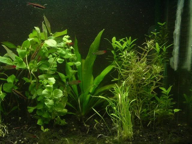 DSCF1499.jpg