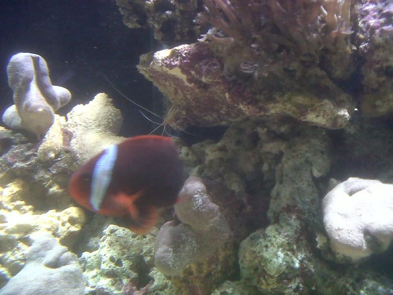 IMG00279-20111106-1842.jpg