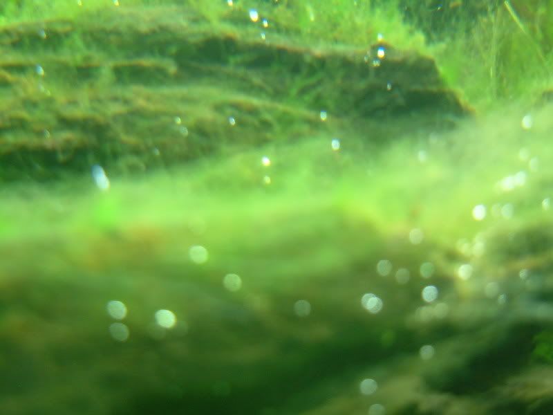 DSCF0415.jpg