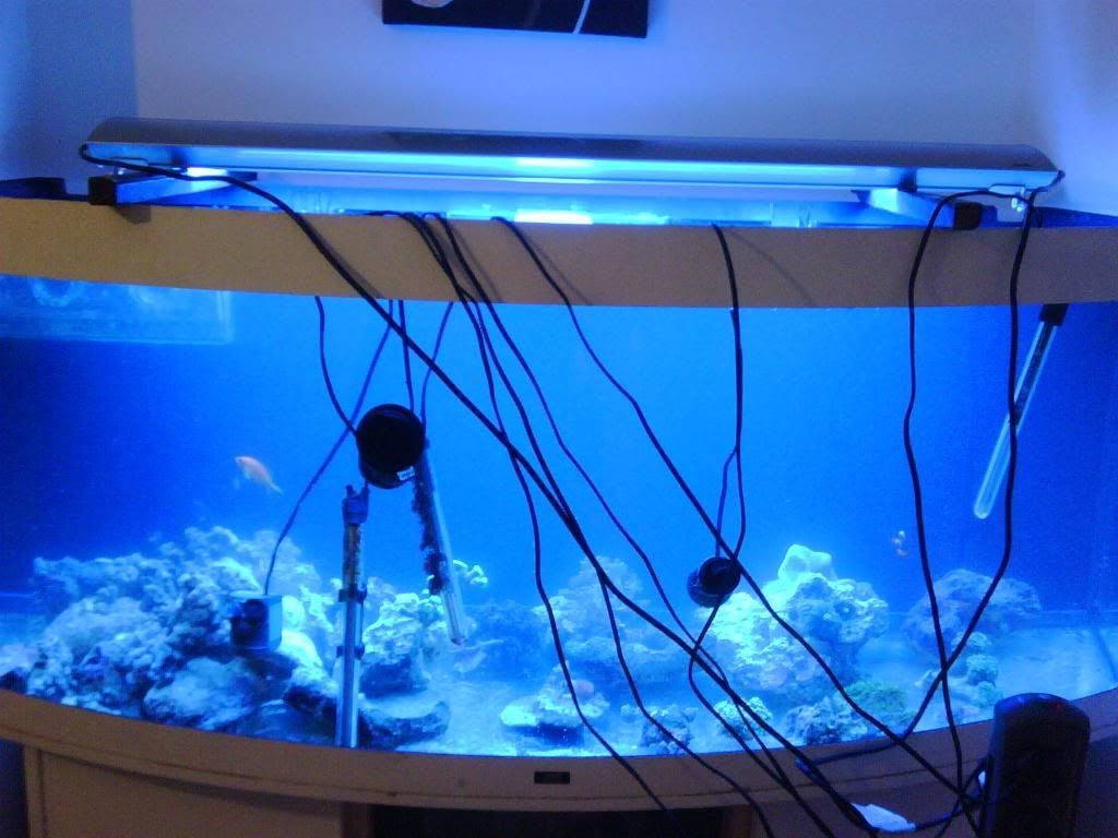 IMG00112-20090420-0154.jpg