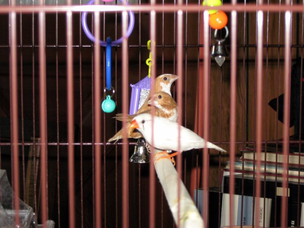 IMG_23441.jpg