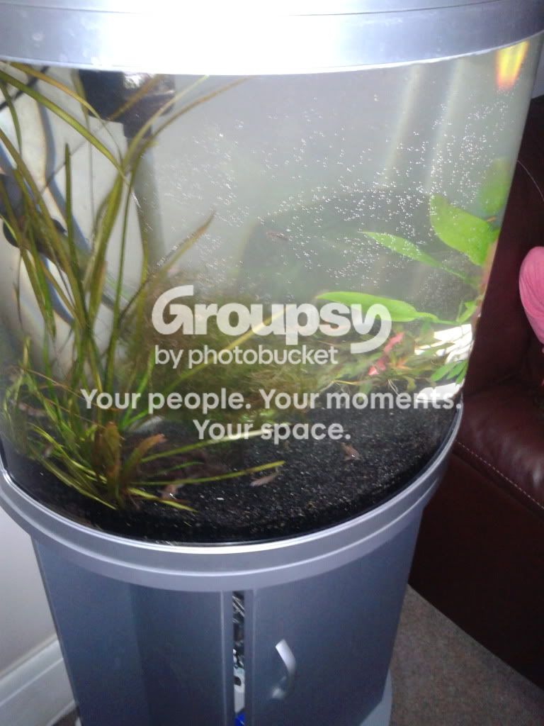 2011-12-24152447.jpg