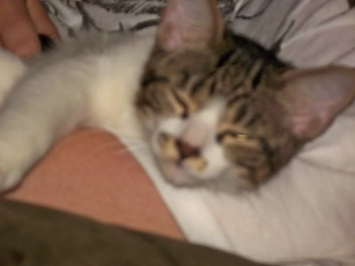 sleepymarley.jpg