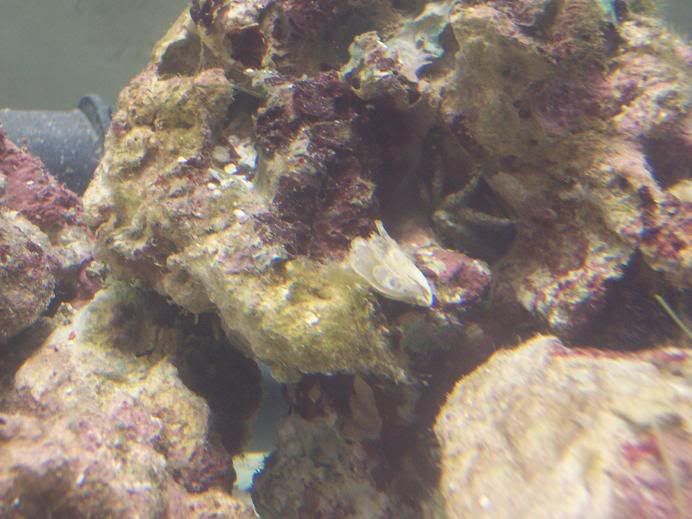 100_4019.jpg