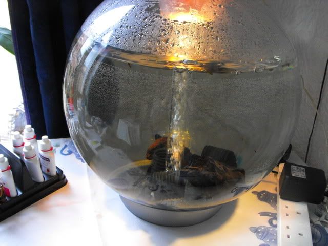 2010_0319newtank0003.jpg