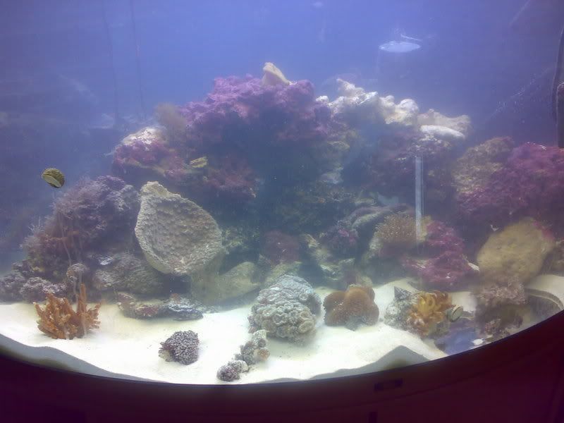 08092007442.jpg