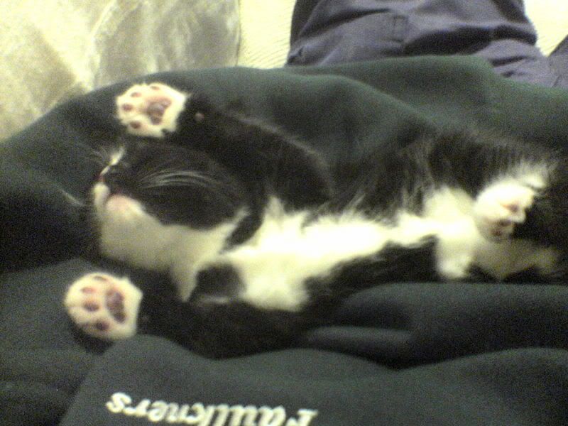 DSC00118.jpg