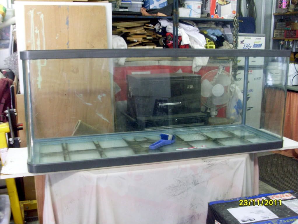 SL370080.jpg