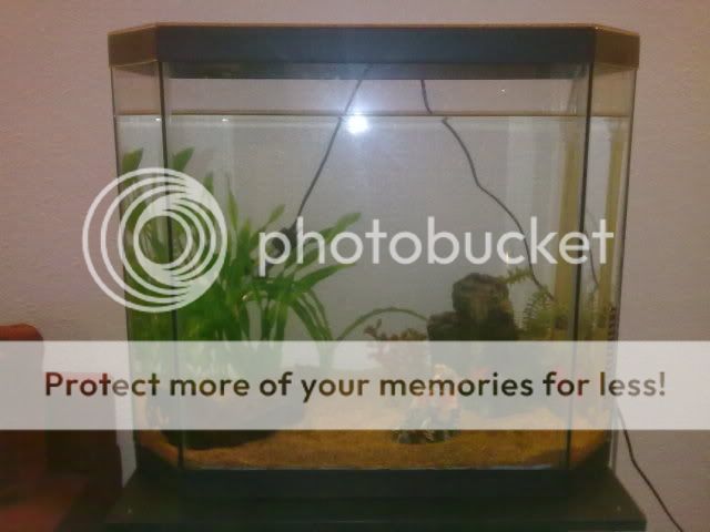 06042010321.jpg