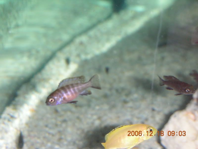 DSCN1480.jpg