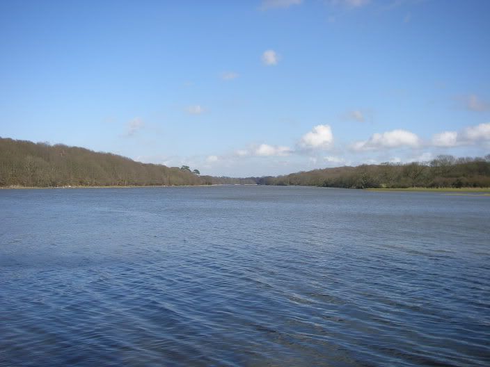 2april2006002.jpg