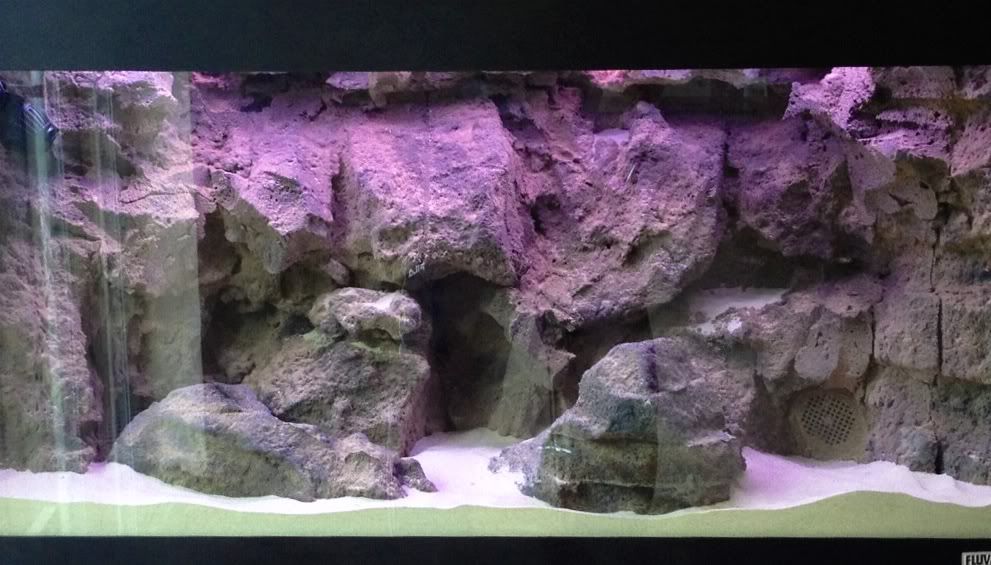 newtank.jpg