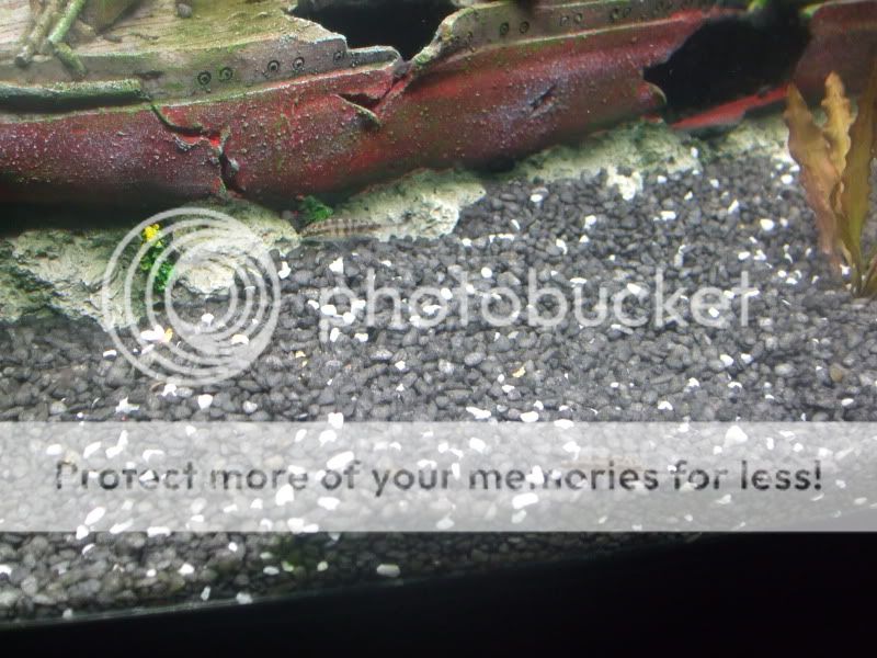 DSCF1907.jpg